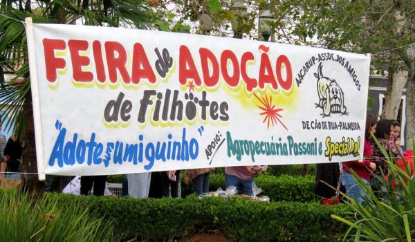 Filhotes encontram um lar através da Aacarup