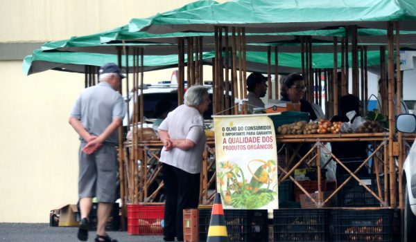25 de julho marca o dia do Trabalhador Rural
