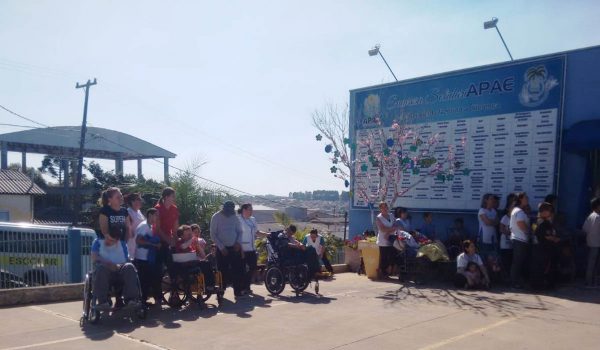 APAE de Palmeira comemora 37 anos de trabalho
