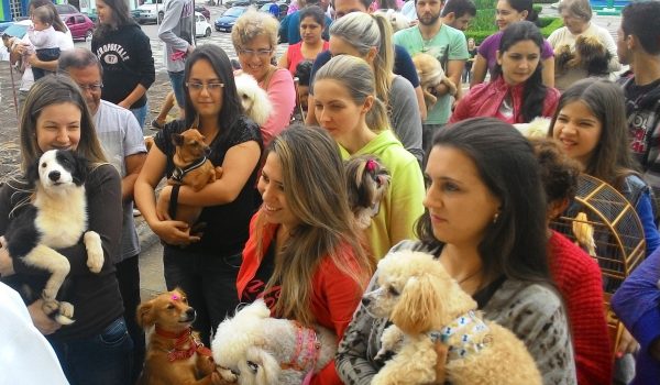 Paróquia promove Benção dos Animais nesta quinta-feira (04)
