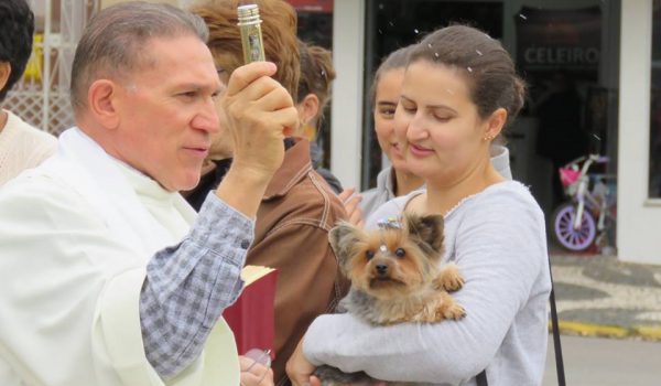 Benção dos animais marca dia de São Francisco de Assis