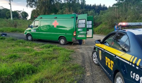 PRF e concessionária atendem acidente na BR 277, em Palmeira