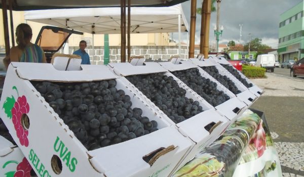 6ª Feira da Uva Rústica de Palmeira acontece a partir do dia 11