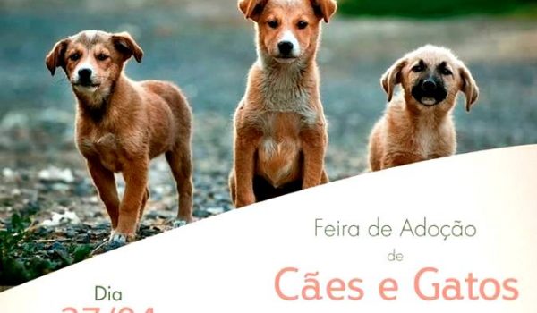Aacarup promove mais uma feira de adoção no próximo sábado (27)