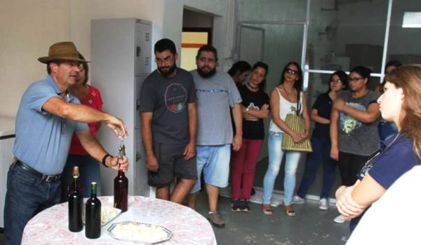 Acadêmicos de Turismo da UEPG visitam vinícola de Palmeira