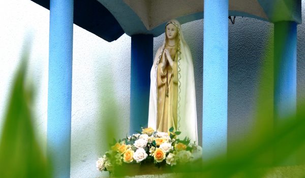Ofereça flores e oração neste dia de Nossa Senhora de Fátima