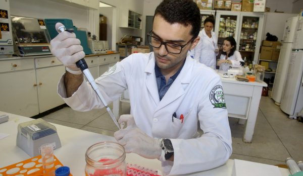 Universidades estaduais estão entre as melhores do mundo segundo revista britânica
