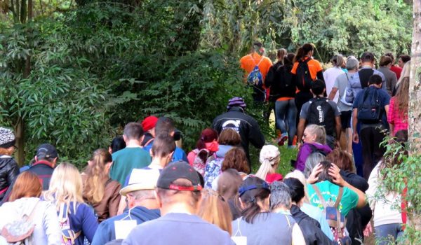 Caminhadas na Natureza terão 160 circuitos no Paraná neste ano, entre eles em Palmeira