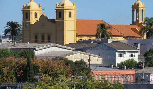 Mais 22 casos de Covid-19 são registrados em Palmeira