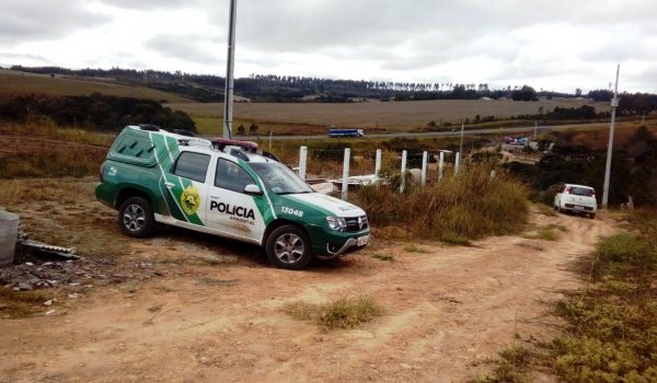 Polícia Ambiental atende denúncia em Palmeira