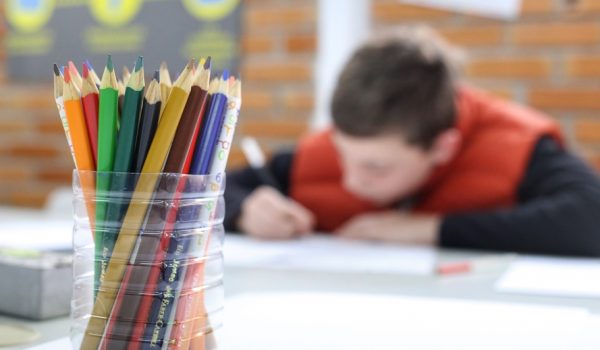 Qualidade do ensino no Paraná está entre as melhores do Brasil