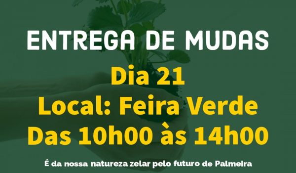 Secretaria Municipal de Meio Ambiente distribuirá 800 mudas de árvore no Dia da Árvore