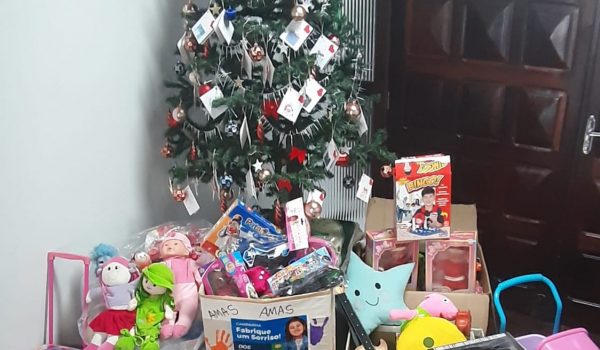 Campanha de Natal da Amas já recebeu mais de 250 brinquedos