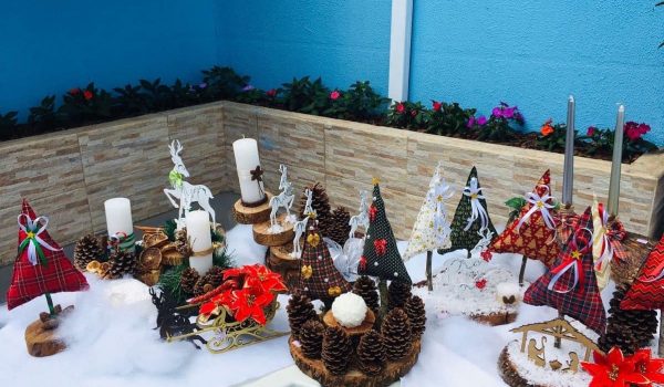 Apae de Palmeira realiza Feira de Natal nesta quinta-feira (02)