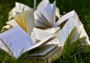 Livros literários podem ser destinados ao Pegaí Leitura Grátis
